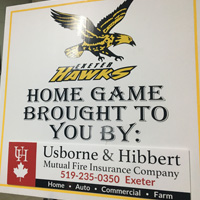 Home Game Brought to you by Usborne and HIbbert